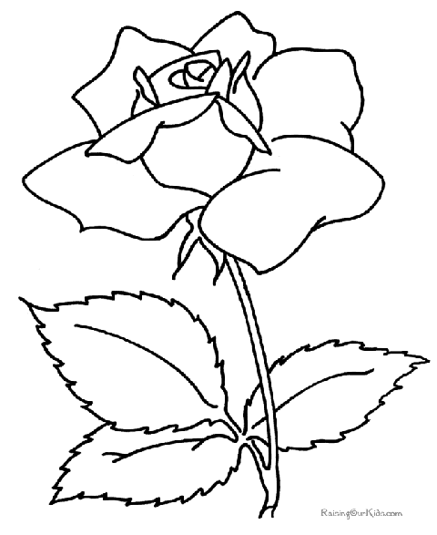 Trandafir de colorat