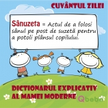 Sanuzeta