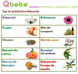 Top 10 antibiotice naturale