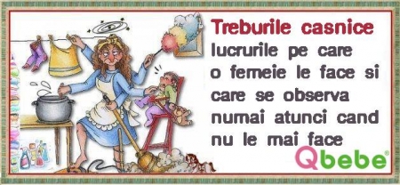 Treburile casnice