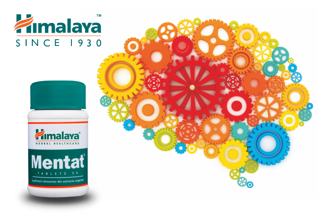 mentat Himalaya