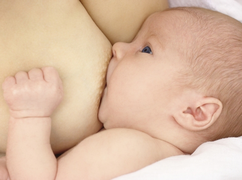 alaptare nou nascut nastere bebelus