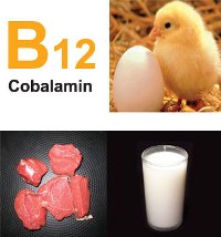 Vitamina B12 pentru copii