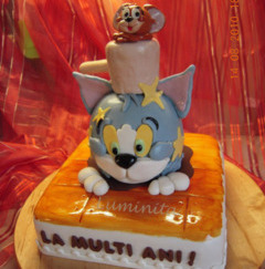 Tort copii Tom si Jerry