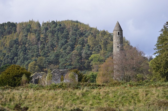 Padure spectaculoasa din Irlanda