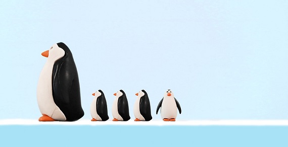 Set de pinguini