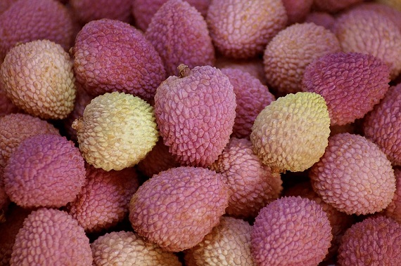 Litchi