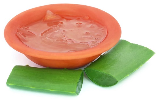 Planta si gel de Aloe Vera