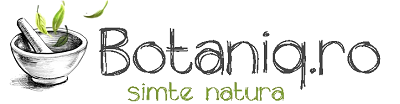 Logo Botaniq.ro