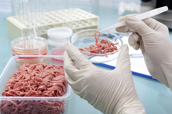 Posibila cauza a toxiinfectiei alimentare- carne contaminata