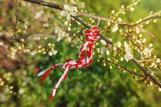 Snur de martisor prins intr-un copac inflorit