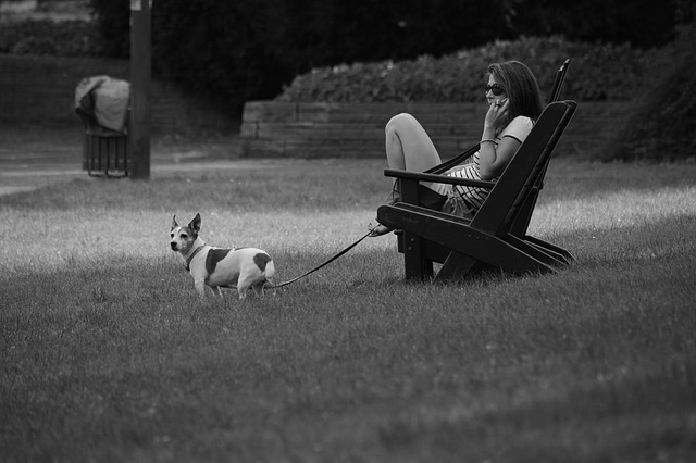 femeie care vorbeste la telefon in parc