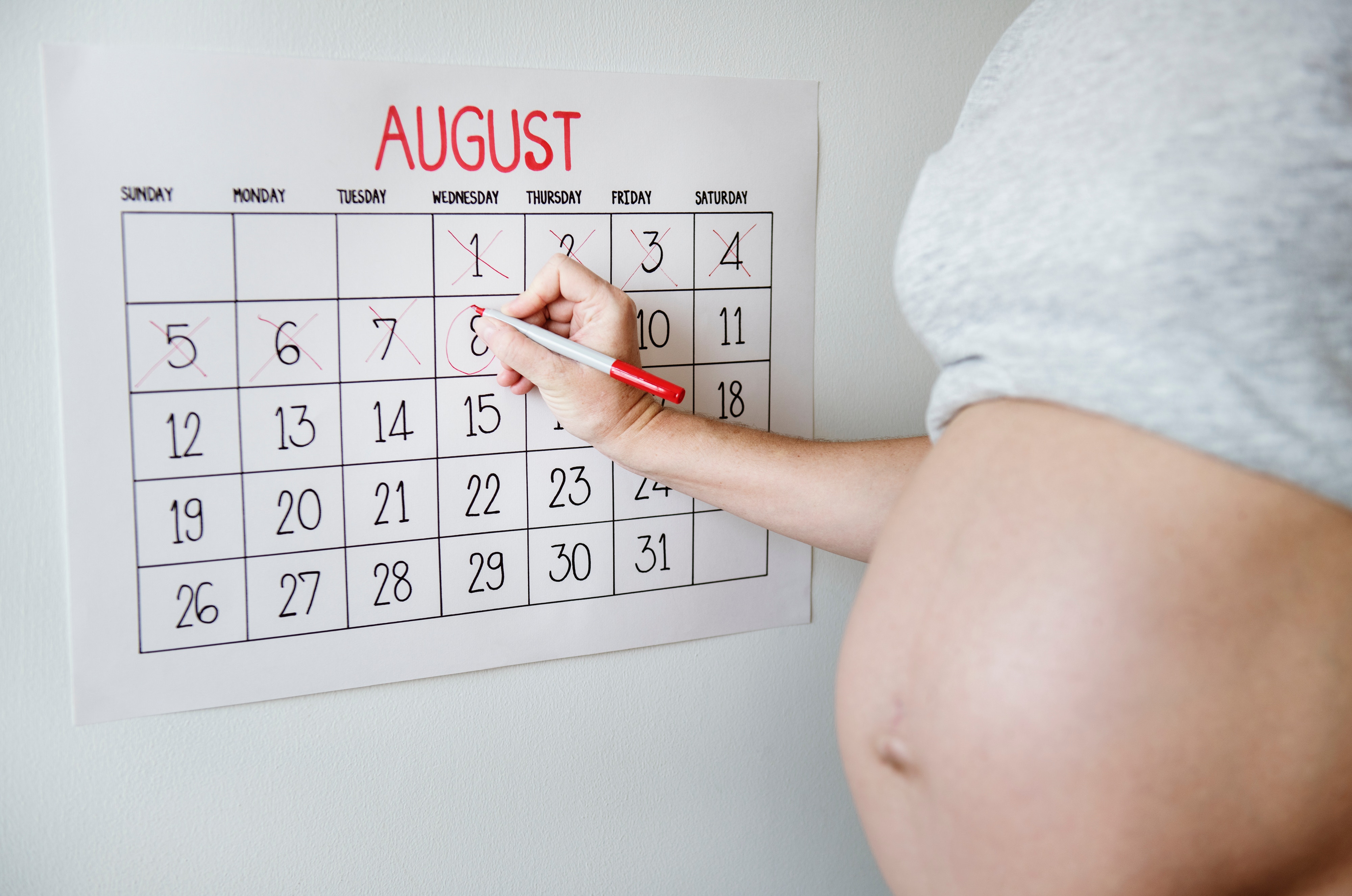 calendar calendar