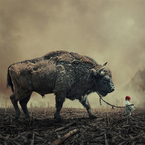 caras ionut bivol