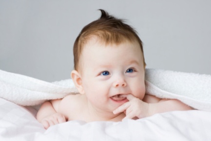 bebe