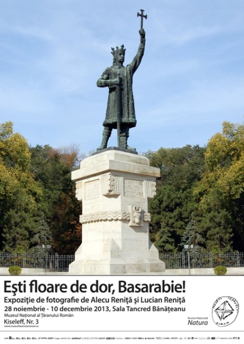 Esti floare de dor, Basarabie