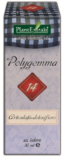 polygema