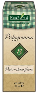 polygema