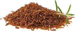 orez brun