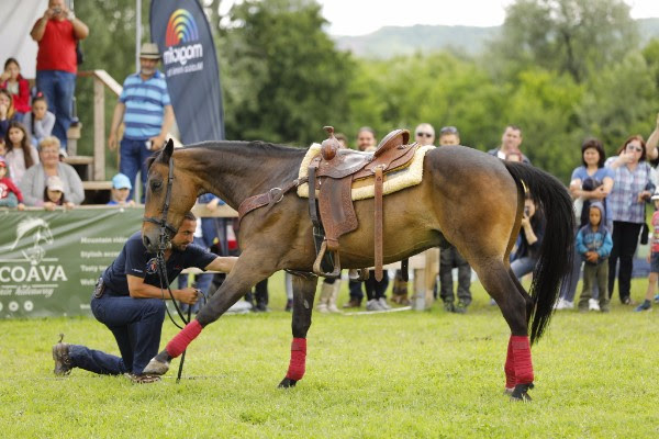 karpatia pony show 2