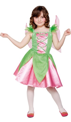 Costum Fairy