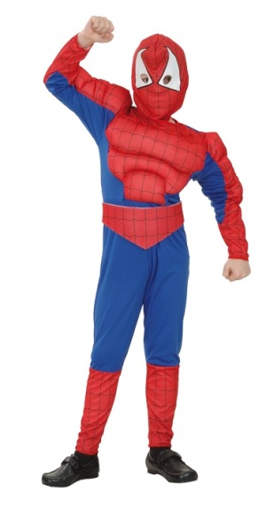 Costum Spider Hero