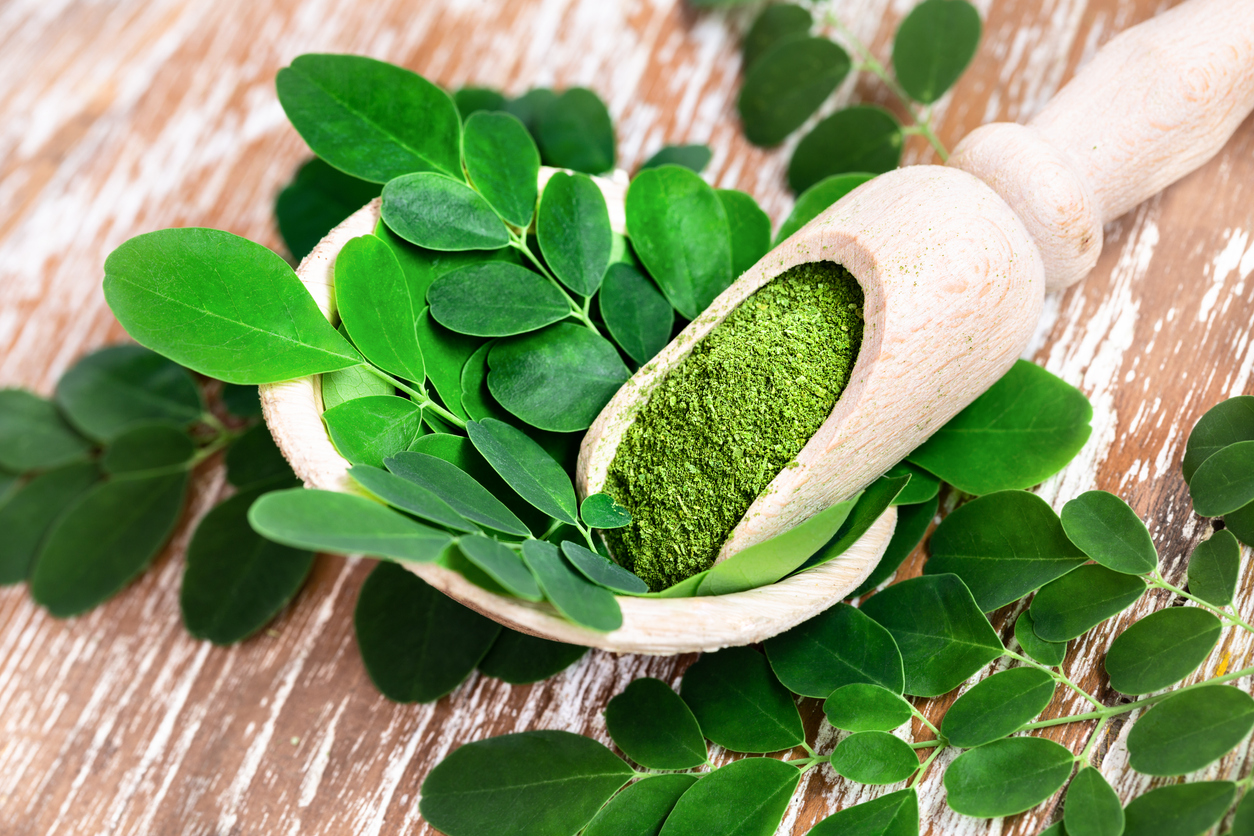 moringa