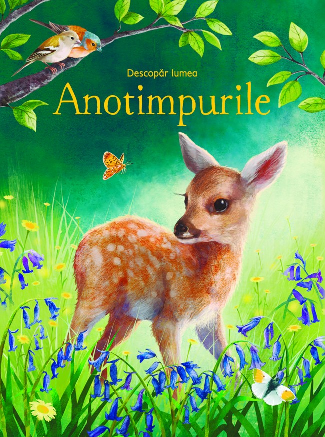  Anotimpurile (Usborne)