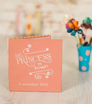 Little Princess Book