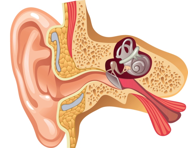 cum să tratezi o articulație a urechii)