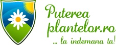 puterea plantelor