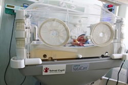 incubator 