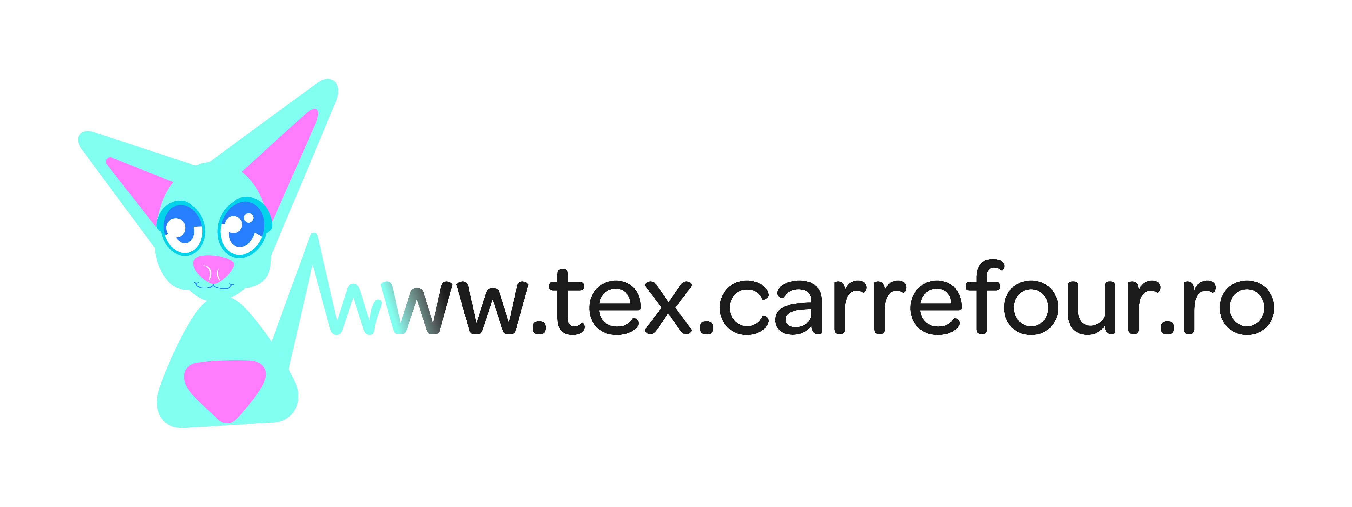 http://www.tex.carrefour.ro/
