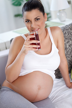 gravida bea suc natural