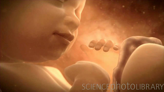 Bebelus in lichidul amniotic