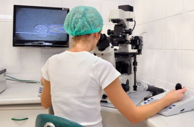 ivf zlin