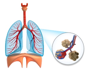 Inflamația țesutului conjunctiv al plămânilor, Afectarea pulmonară în cadrul bolilor de sistem
