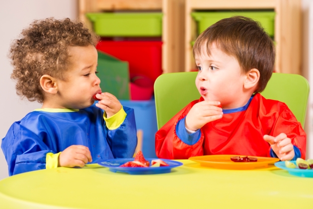 legea alimentatiei in scoli si gradinite