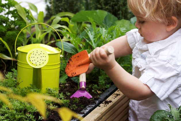 Ce Vor Plantele Qbebe Ro