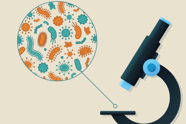 interpretarea examenului microscopic pe frotiu colorat