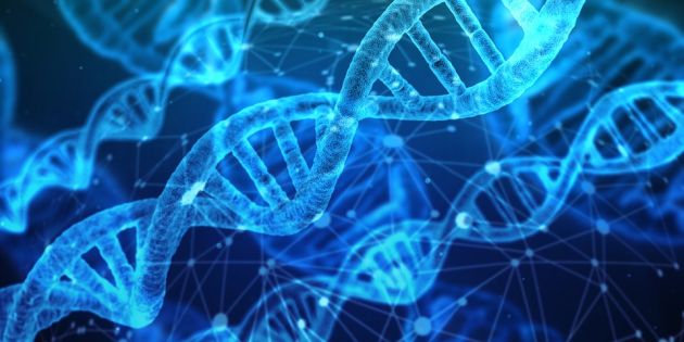 alaptarea activeaza gene