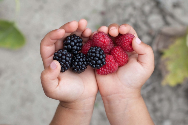 fructe de vara pentru bebelusi si copii