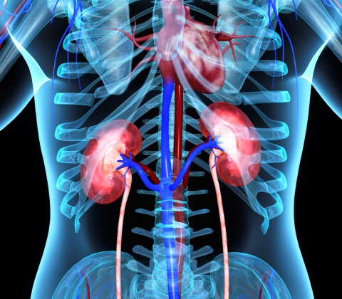 infectia de tract urinar