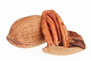 pecan