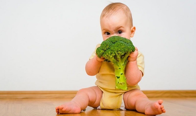 bebe broccoli