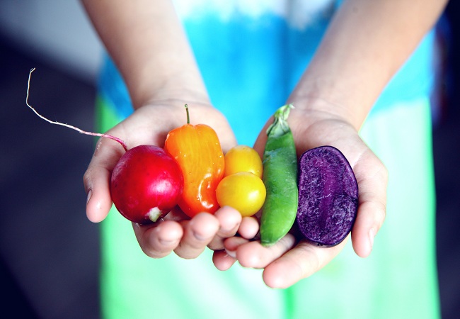 legume de culori diferite sunt tinute in palme