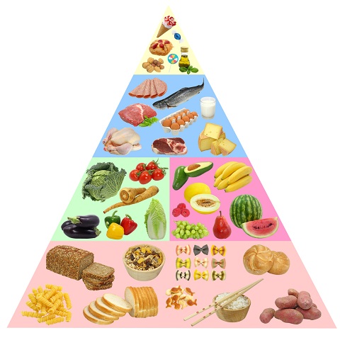 alimente ce se pot regasi in piramida alimentara