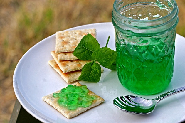 dulceata-de-menta-in-borcan-si-pe-biscuite