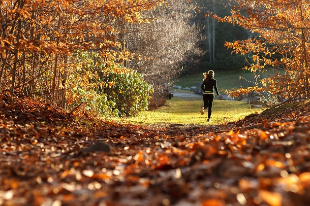 femeie-care-face-jogging-intr-o-zi-de-toamna