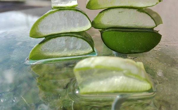 bucati-de-frunze-de-aloe-vera-in-care-este-vizibil-gelul